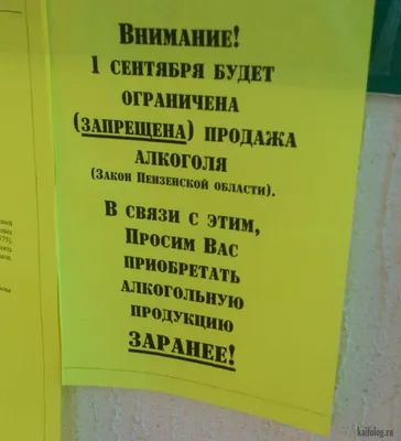 1 сентября :: праздник / смешные картинки и другие приколы: комиксы, гиф  анимация, видео, лучший интеллектуальный юмор.