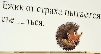 Прикольная и смешная анимация Доброе утро | Доброе утро, Анимация, Художники