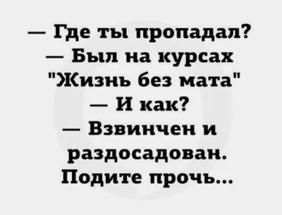 Пин от пользователя Елена на доске Юмор | Саркастичные цитаты, Смешные  сообщения, Смешные шутки