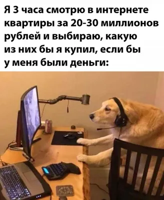 Без названия 1