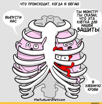 Анекдоты про врачей: 50+ шуток на медицинскую тематику