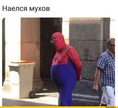 Человек-паук (Spider-Man, Дрюжелюбный сосед, Спайди, Питер Паркер) ::  Marvel (Вселенная Марвел) :: findo :: artist :: фэндомы / картинки, гифки,  прикольные комиксы, интересные статьи по теме.