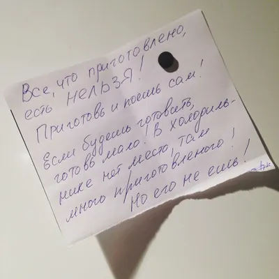 жена на час / смешные картинки и другие приколы: комиксы, гиф анимация,  видео, лучший интеллектуальный юмор.