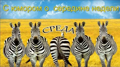 Ура сегодня среда прикольные картинки (48 фото) » Красивые картинки,  поздравления и пожелания - 