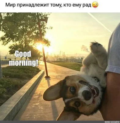 Good morning sunshine! (digital) by Redilion on DeviantArt | Funny good  morning quotes, Morning quotes funny, Cute good morning quotes