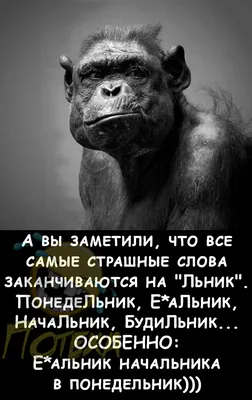 мне надо много спать / смешные картинки и другие приколы: комиксы, гиф  анимация, видео, лучший интеллектуальный юмор.