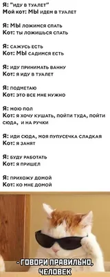 Что я чувствовал? Да иди ты на ***! Шура Буртин по просьбе «Медузы» провел  два месяца в Украине — и рассказывает, как украинцы живут во время войны и  защищают свою страну от