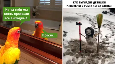 Прикольные открытки любимой девушке скачать бесплатно