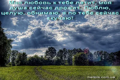 Набор прикольных открыток-валентинок любимому 4 шт Бум Коробка 36879765  купить за 307 ₽ в интернет-магазине Wildberries