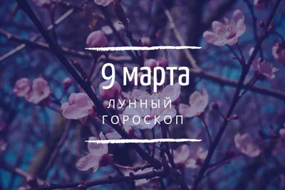Подарок на 8 марта — Уральские Пельмени | Нежная королева - YouTube
