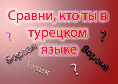 Смешные слова в Турции: 10 табличек на турецком