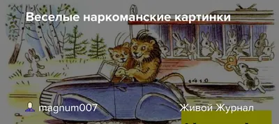 Ближний Восток наводнили дешевые наркотики. Как молодежь подсела на  таблетки террористов и почему на помощь зовут Россию?: Преступность: Мир:  