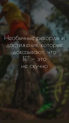 Очень скучаю по своему котику. И что бы было не так грустно об этом  рассказывать , добавлю смешные картинки с участием котов)) | Мания | Дзен