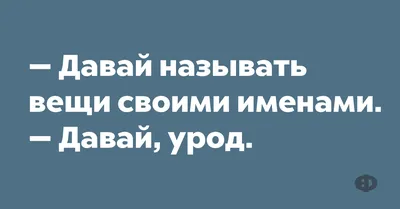 Веселые будни Job Agentur Germany. С нами учиться не скучно! ⏺️Легальное  трудоустройство студентов в Германии. ⏺️Качественное обучение… | Instagram