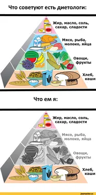 Смешные подарки с принтом "съешь мясо, лифтинг, грузило", "карнавальный  диета", футболка, милые топы, мужские смешные футболки | AliExpress