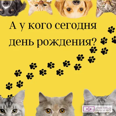 Открытки «С Днём Рождения» рыбаку: 66 прикольных картинок