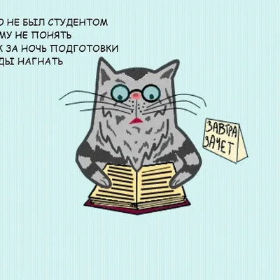 Анекдоты про студентов - самые смешные шутки и приколы про ВУЗ - Телеграф