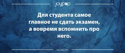 Пин от пользователя Olya Plat на доске Сарказм, юмор, ржака | Смешные  поговорки, Юмористические цитаты, Самые смешные цитаты