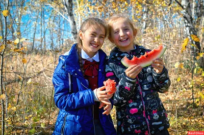 Картинка Осень золотая » Осень картинки скачать бесплатно (353 фото) -  Картинки 24 » Картинки 24 - скачать картинки бесплатно