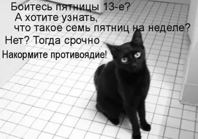 Пятница 13 августа что известно про день, мифы, приметы и картинки с  поздравлениями