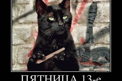 Пятница 13 в Украине: Приколы и смешные картинки - Афиша bigmir)net