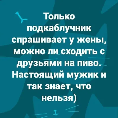 Фартук кухонный ПерсонаЛКА 1шт - купить по доступным ценам в  интернет-магазине OZON (1124832684)