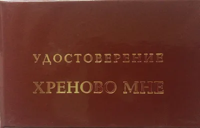 Найдено на АйДаПрикол | Смешно, Смешные высказывания, Резюме