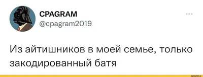 ЦИФРОВЫЕ ШУТКИ. Приколы в картинках про айтишников. | Самоучка в Python |  Дзен