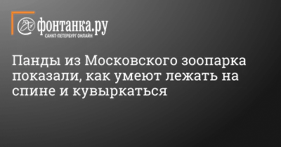 Главные ошибки при боли в пояснице: что делать когда болит спина - 30  сентября 2023 - 76.ру