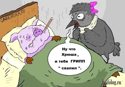 Карикатуры про свиной грипп (21 картинки)