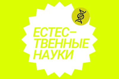 Пленарное заседание восьмого Восточного экономического форума • Президент  России