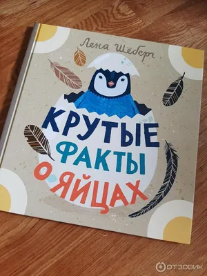 Картинки с Днем Рождения, Лена! – Привет Пипл! | С днем рождения, Лень,  Рождение