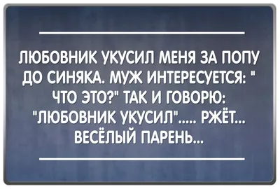 Пин от пользователя Людмила на доске Юмор | Смешные высказывания, Веселые  высказывания, Юмористические цитаты