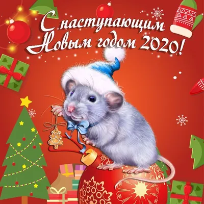 Картинки с Новым годом 2020 – прикольные новогодние открытки – Люкс ФМ