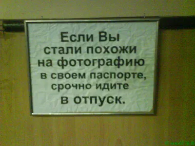 С лыжами не расставайтесь Кататься со своим снаряжением гораздо комфортнее,  чем брать напрокат... | ВКонтакте