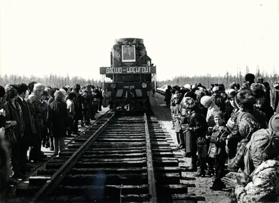 Энциклопедия для детского сада. Поезда — купить в интернет-магазине по  низкой цене на Яндекс Маркете