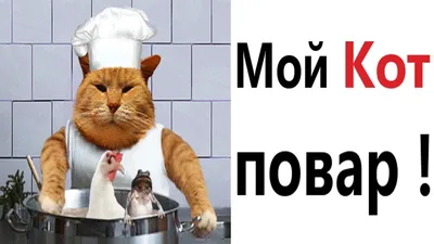 Прикольные повара (70 картинок) ⚡ Фаник.ру
