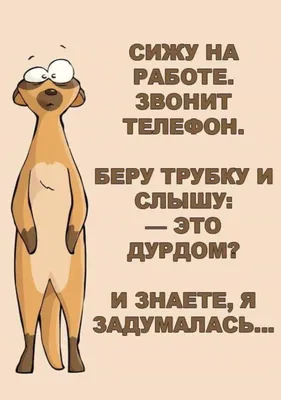 с)  _ ^ Эх,суббота.. .Пойду-ка вьпью гмвкаШЗавтра не на работу!!  Уже вьпил.. .ХОРОШО..... / Прикольные картинки / смешные картинки и другие  приколы: комиксы, гиф анимация, видео, лучший интеллектуальный юмор.