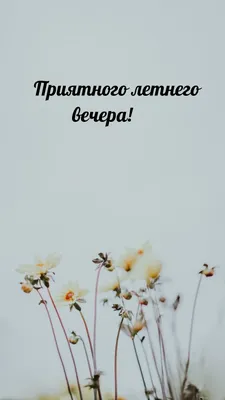 Приятного вечера [59 картинок]