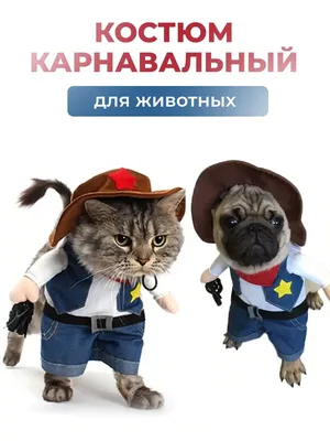 Самые смешные фотографии животных в 2021 году - Газета.Ru