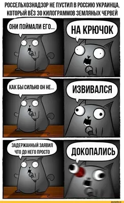 Российские комедии смотреть онлайн подборку. Список лучшего контента в HD  качестве