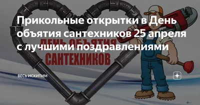 Прикольная фигурка САНТЕХНИК для Мужчины купить онлайн в интернет магазине  Uh-ty