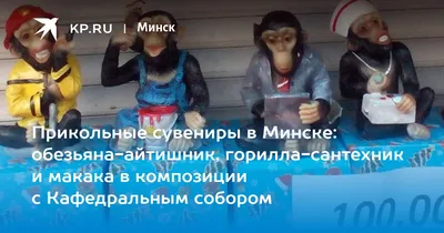 Прикольные сувениры в Минске: обезьяна-айтишник, горилла-сантехник и макака  в композиции с Кафедральным собором - 