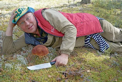 Опубликованы фото грибов, за сбор которых россиян будут штрафовать |  Советский и Югорск | 2города