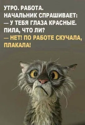 Я. РАНО УТРОМ ЕДУ НА РАБОТУ: МУЖИК. КОТОРЫЙ УЖЕ ЕДЕТ ДОМОЙ С НОЧНОЙ СМЕНЫ:  / ночная смена :: работа :: утро :: картинка с текстом / смешные картинки и  другие приколы: комиксы,