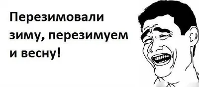 Статусы про весну Прикольные - 📝 Афоризмо.ru