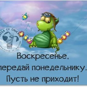 Доброе воскресное утро картинки высокого качества | Счастливые картинки,  Воскресенье, Смешные открытки