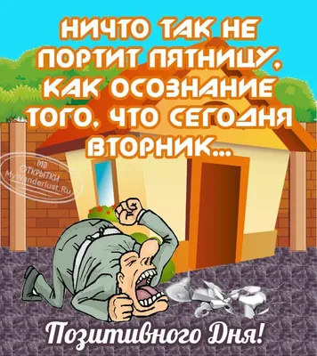 Приколы про вторник - Картинки приколы со вторником утром - Смешные  картинки про вторник на работе | Юмор вторника, Смешные открытки, Утро  вторника