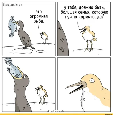 голуби :: pet_foolery :: дрон :: птицы :: Смешные комиксы (веб-комиксы с  юмором и их переводы) / смешные картинки и другие приколы: комиксы, гиф  анимация, видео, лучший интеллектуальный юмор.