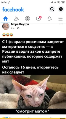 ОБЩЕСТВО С ОГРАНИЧЕННОЙ ОТВЕТСТВЕННОСТЬЮ УПРАВЛЯЮЩАЯ КОМПАНИЯ "НАШ ДОМ -  ЖИЛИЩНО-ЭКСПЛУАТАЦИОННОЕ УПРАВЛЕНИЕ №1" — Новости